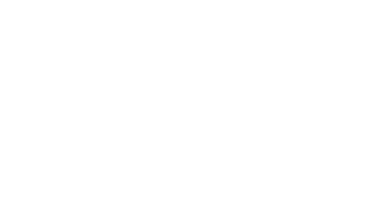 Anesthesia Services Pittsburgh PA, Ambulatory Anesthesia Associates logo